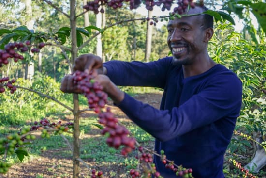 ETHIOPIA // KAYON MT.