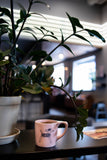 Dogwood Coffee Co. Poodle Mug