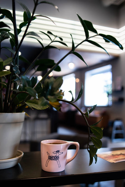 Dogwood Coffee Co. Poodle Mug