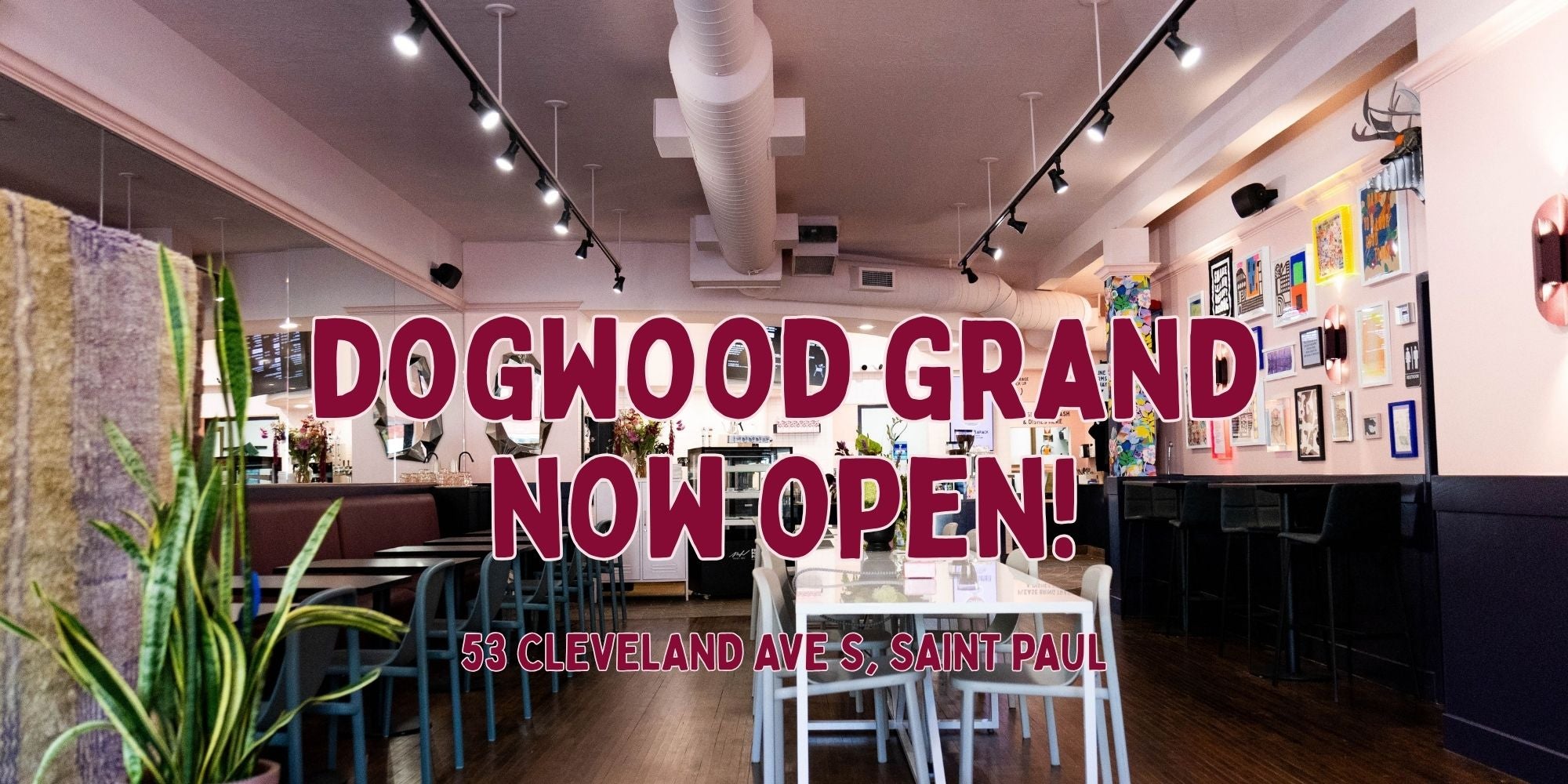 Dogwood Coffee
